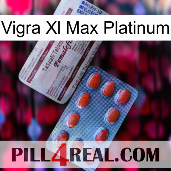 Vigra Xl Max Platinum 36